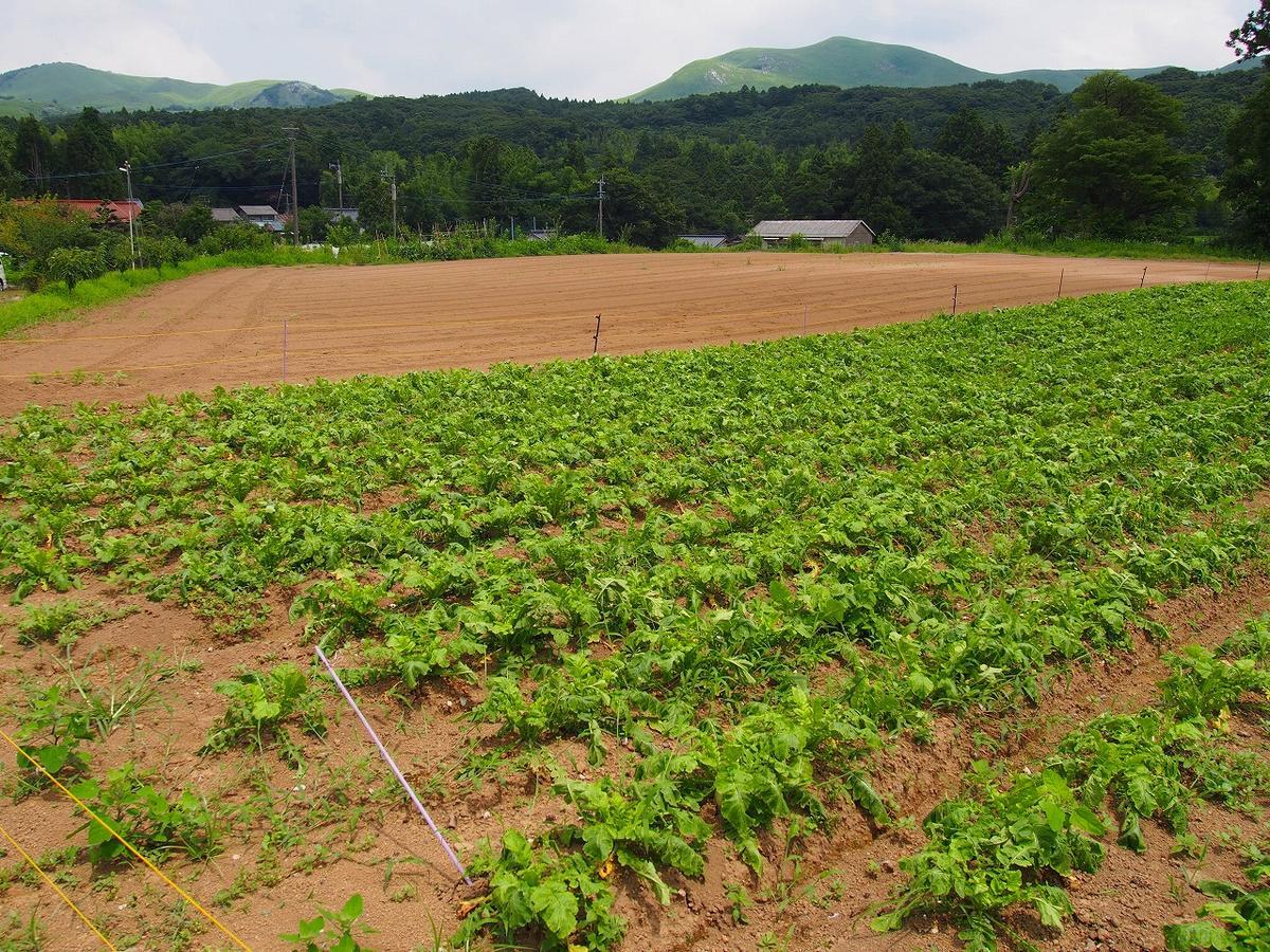 Yamano-Ie Hiraodai Kitakyūshū Exterior foto